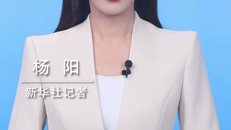 BIM与数字孪生：技术解析与应用比较